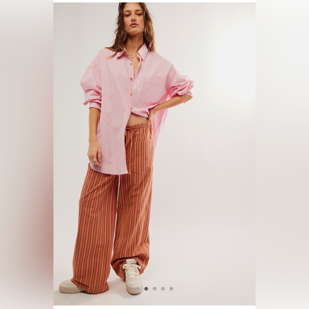 Hudson Canyon Stripe Pants Free People